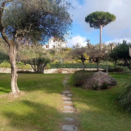 Casa Degli Ulivi Appartement Lerici Buitenkant foto
